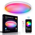 30W smart LED-taklampe RGB/CCT med Bluetooth og stemmestyring