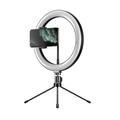 APEXEL APL-FL10JJ13Y 26 cm LED-ringlys for selfie-fotografering med stativ og telefonholder