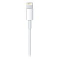 Apple Lightning / USB 3.1 Type-C Kabel MKQ42ZM/A - 2m