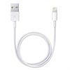 Apple Lightning / USB Kabel ME291ZM/A - Hvit - 0.5m