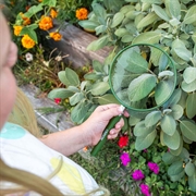 Carson HU-20 Big Eye 5" forstørrelsesglass - 2x