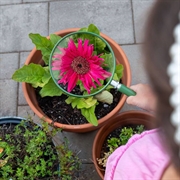 Carson HU-20 Big Eye 5" forstørrelsesglass - 2x