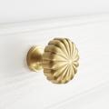 Flora møbelknott i messing - gull