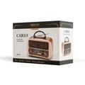 Forever CARLO JB-105 BT Electro FM-radio - 1200mAh batteri, fjernkontroll