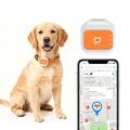G01 Vanntett smart GPS-sporingsenhet for kjæledyr, 4G/WiFi - L