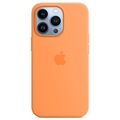 iPhone 13 Pro Apple Silikondeksel med MagSafe MM2D3ZM/A - Ringblomst
