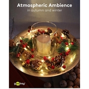 Goobay 20-LED sølvtråd fe-lys - kongler og røde bær