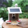 HiBirds Smart WiFi fuglemater med kamera - Lysebrun