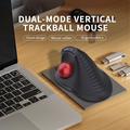 Jomaa JOM255 ergonomisk trådløs trackball-mus - svart