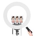 M22S 22" dimbart LED-ringlyssett med fjernkontroll for selfie-sminke, YouTube, Facebook Live