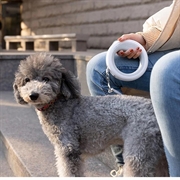 Moestar UFO Uttrekkbart hundebånd med LED-lys - 3m