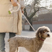 Moestar UFO Uttrekkbart hundebånd med LED-lys - 3m