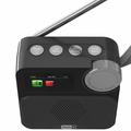 P2D bærbar DAB+-radio med Bluetooth 5.0 - 1.47" - svart
