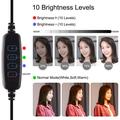 PULUZ PKT3066B 10.2" LED-selfie-ringlys med mobiltelefonklemme Stativ for YouTube-bloggere Videoopptak