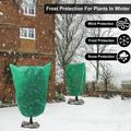 Frostbeskyttelse for planter / Pustende vinterbeskyttelse av fiberduk - 120x180cm - Grønn