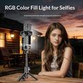 Q34 AI Anti-Shake Selfie-stang med gimbal-stabilisator og RGB-skjønnhetslys - svart
