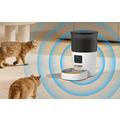 Rojeco 3L Smart Wi-Fi Pet Feeder med kamera - 720p overvåking, toveis lyd