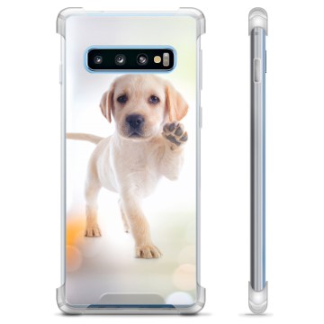 Samsung Galaxy S10 Hybrid-deksel - Hund