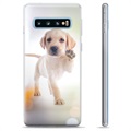Samsung Galaxy S10+ TPU-deksel - Hund