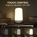 Smart Touch-sengelampe Bluetooth Nattlampe med dimbar farge Nattlampe med utendørs musikk Bordlampe med berøringsfunksjon