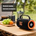 T&G TG484 bærbar Bluetooth-høyttaler 30W med RGB-lys - svart