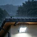 TG-TY19502 Vegglampe med 144 LED-lys og bevegelsessensor samt solcellepanel til hage og terrasse