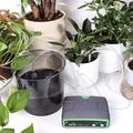 WD-01BDE WiFi-styrt smart vanningssett med to pumper