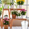 WD-01GDE WiFi-styrt smart vanningssystem med to pumper for planter - hvit