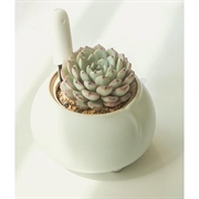 Xiaomi Mi blomstervarselsensor - hvit