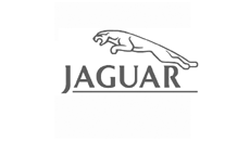 Jaguar dashmount festebraketter