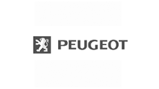 Peugeot dashmount festebraketter
