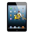 iPad Mini 3 Diagnose