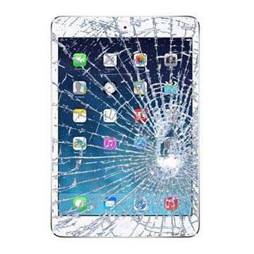 iPad mini 2 Display Glas & Touch Screen Reparasjon
