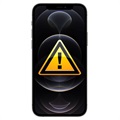 iPhone 11 Reparasjon av Ladekontakt Flekskabel - Svart