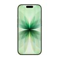 iPhone 17 - 512GB - Salvie