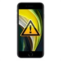 iPhone SE (2020) Kamera Reparasjon