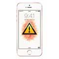 iPhone SE Reparasjon av Kamera
