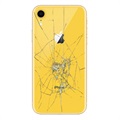 iPhone XR Bakdeksel reparasjon - Kun Glass